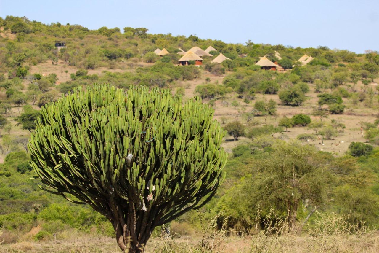 Africa Safari Maasai Boma Camping Hotel Serengeti Exterior photo